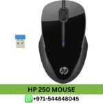 HP 250 USB Wireless Mouse